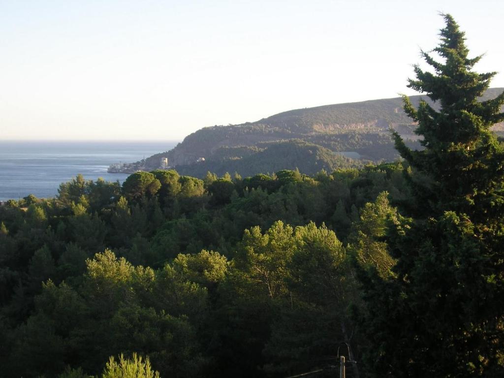 세투발 Quinta De Sao Filipe 빌라 객실 사진