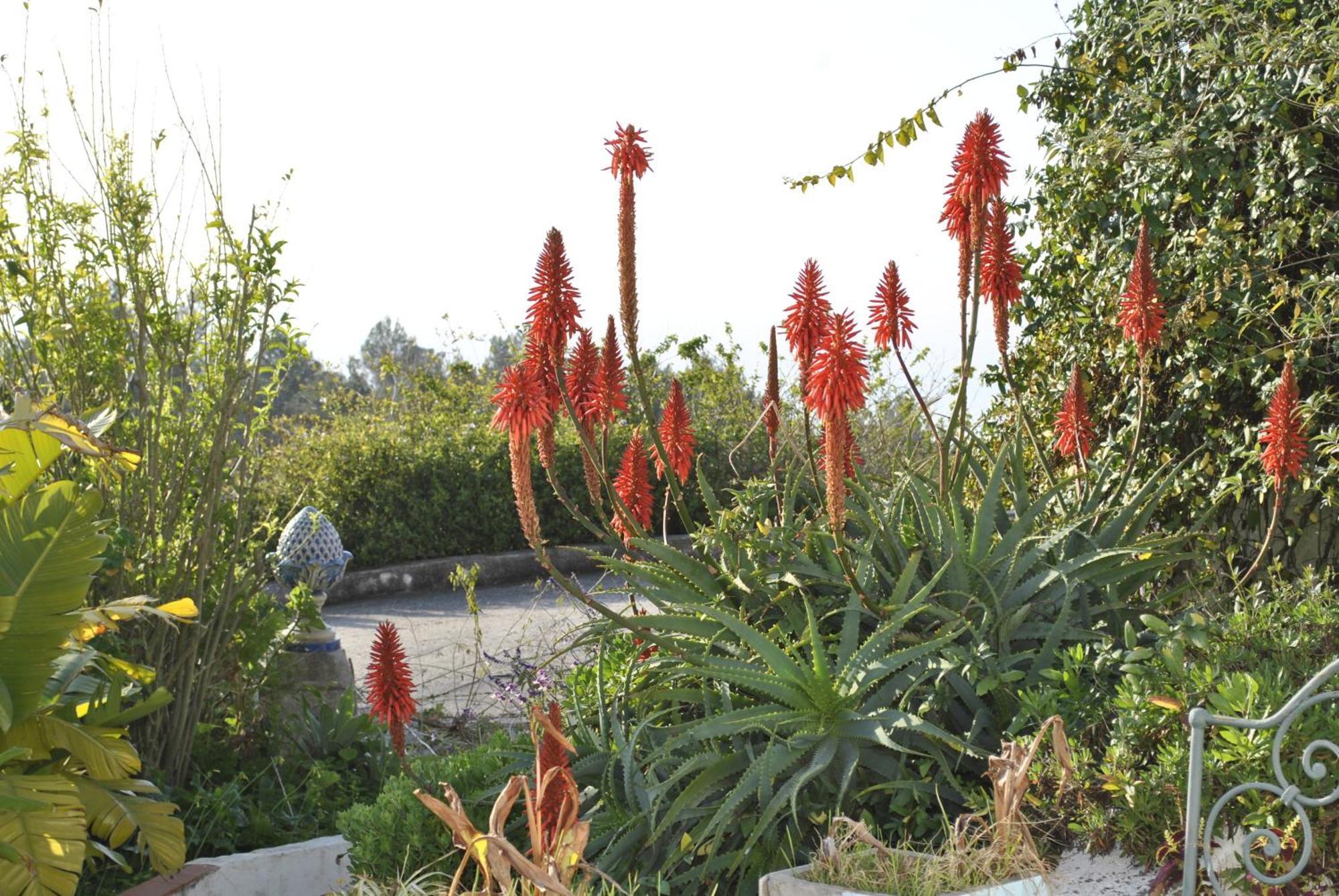세투발 Quinta De Sao Filipe 빌라 외부 사진